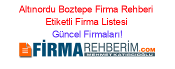 Altınordu+Boztepe+Firma+Rehberi+Etiketli+Firma+Listesi Güncel+Firmaları!