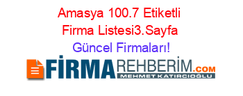 Amasya+100.7+Etiketli+Firma+Listesi3.Sayfa Güncel+Firmaları!
