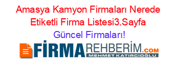 Amasya+Kamyon+Firmaları+Nerede+Etiketli+Firma+Listesi3.Sayfa Güncel+Firmaları!