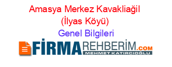 Amasya+Merkez+Kavakliağil+(İlyas+Köyü) Genel+Bilgileri