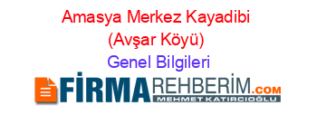 Amasya+Merkez+Kayadibi+(Avşar+Köyü) Genel+Bilgileri