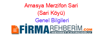 Amasya+Merzifon+Sari+(Sari+Köyü) Genel+Bilgileri
