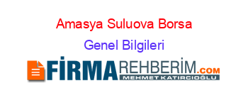 Amasya+Suluova+Borsa Genel+Bilgileri