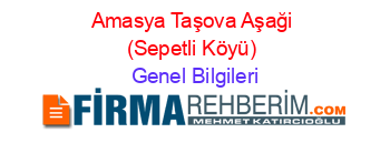 Amasya+Taşova+Aşaği+(Sepetli+Köyü) Genel+Bilgileri
