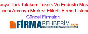 Amasya+Türk+Telekom+Teknik+Ve+Endüstri+Meslek+Lisesi+Amasya+Merkez+Etiketli+Firma+Listesi Güncel+Firmaları!