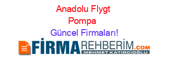 Anadolu+Flygt+Pompa+ Güncel+Firmaları!