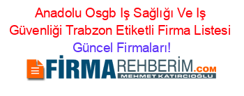 Anadolu+Osgb+Iş+Sağlığı+Ve+Iş+Güvenliği+Trabzon+Etiketli+Firma+Listesi Güncel+Firmaları!