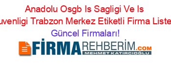 Anadolu+Osgb+Is+Sagligi+Ve+Is+Guvenligi+Trabzon+Merkez+Etiketli+Firma+Listesi Güncel+Firmaları!