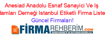 Anesiad+Anadolu+Esnaf+Sanayici+Ve+Iş+Adamları+Derneği+Istanbul+Etiketli+Firma+Listesi Güncel+Firmaları!