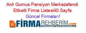 Anil+Gumus+Pansiyon+Merkezefendi+Etiketli+Firma+Listesi40.Sayfa Güncel+Firmaları!