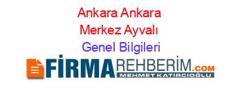 Ankara+Ankara+Merkez+Ayvalı Genel+Bilgileri