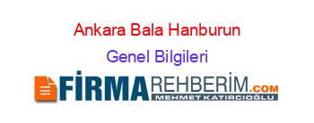 Ankara+Bala+Hanburun Genel+Bilgileri
