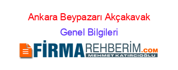 Ankara+Beypazarı+Akçakavak Genel+Bilgileri