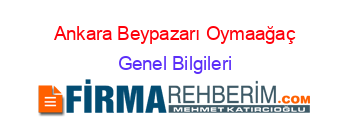 Ankara+Beypazarı+Oymaağaç Genel+Bilgileri
