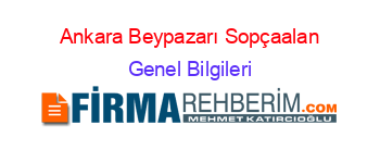 Ankara+Beypazarı+Sopçaalan Genel+Bilgileri