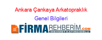 Ankara+Çankaya+Arkatopraklık Genel+Bilgileri