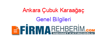 Ankara+Çubuk+Karaağaç Genel+Bilgileri