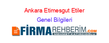 Ankara+Etimesgut+Etiler Genel+Bilgileri