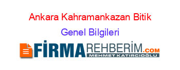 Ankara+Kahramankazan+Bitik Genel+Bilgileri