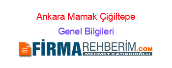 Ankara+Mamak+Çiğiltepe Genel+Bilgileri