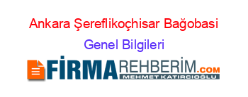 Ankara+Şereflikoçhisar+Bağobasi Genel+Bilgileri