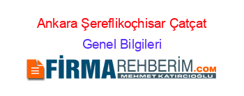 Ankara+Şereflikoçhisar+Çatçat Genel+Bilgileri