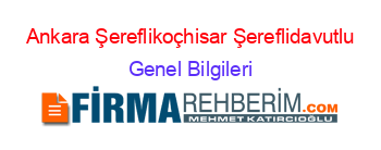 Ankara+Şereflikoçhisar+Şereflidavutlu Genel+Bilgileri