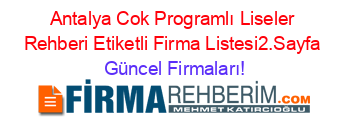 Antalya+Cok+Programlı+Liseler+Rehberi+Etiketli+Firma+Listesi2.Sayfa Güncel+Firmaları!