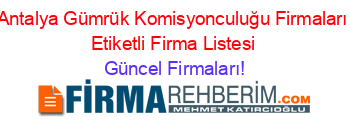 Antalya+Gümrük+Komisyonculuğu+Firmaları+Etiketli+Firma+Listesi Güncel+Firmaları!