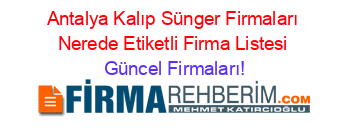 Antalya+Kalıp+Sünger+Firmaları+Nerede+Etiketli+Firma+Listesi Güncel+Firmaları!