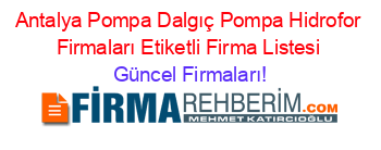 Antalya+Pompa+Dalgıç+Pompa+Hidrofor+Firmaları+Etiketli+Firma+Listesi Güncel+Firmaları!