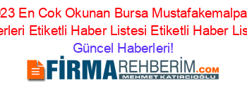 Aralık+2023+En+Cok+Okunan+Bursa+Mustafakemalpaşa+Yerel+Haberleri+Etiketli+Haber+Listesi+Etiketli+Haber+Listesi+ Güncel+Haberleri!