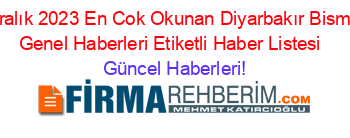 Aralık+2023+En+Cok+Okunan+Diyarbakır+Bismil+Genel+Haberleri+Etiketli+Haber+Listesi+ Güncel+Haberleri!