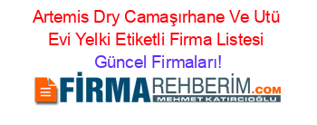 Artemis+Dry+Camaşırhane+Ve+Utü+Evi+Yelki+Etiketli+Firma+Listesi Güncel+Firmaları!