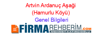 Artvin+Ardanuç+Aşaği+(Hamurlu+Köyü) Genel+Bilgileri