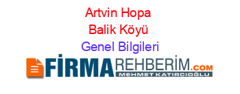 Artvin+Hopa+Balik+Köyü Genel+Bilgileri