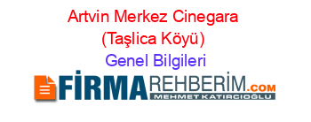 Artvin+Merkez+Cinegara+(Taşlica+Köyü) Genel+Bilgileri