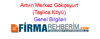 Artvin+Merkez+Gökçeyurt+(Taşlica+Köyü) Genel+Bilgileri