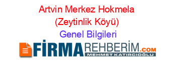 Artvin+Merkez+Hokmela+(Zeytinlik+Köyü) Genel+Bilgileri