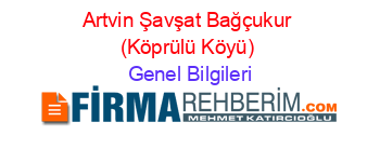 Artvin+Şavşat+Bağçukur+(Köprülü+Köyü) Genel+Bilgileri