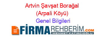 Artvin+Şavşat+Borağal+(Arpali+Köyü) Genel+Bilgileri