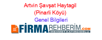 Artvin+Şavşat+Haytagil+(Pinarli+Köyü) Genel+Bilgileri
