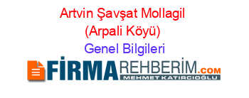 Artvin+Şavşat+Mollagil+(Arpali+Köyü) Genel+Bilgileri