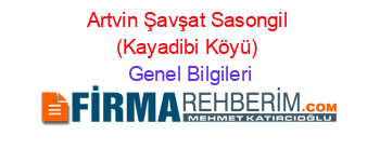Artvin+Şavşat+Sasongil+(Kayadibi+Köyü) Genel+Bilgileri