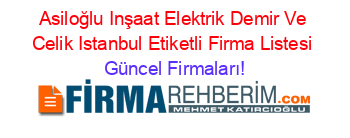 Asiloğlu+Inşaat+Elektrik+Demir+Ve+Celik+Istanbul+Etiketli+Firma+Listesi Güncel+Firmaları!