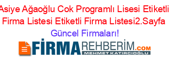 Asiye+Ağaoğlu+Cok+Programlı+Lisesi+Etiketli+Firma+Listesi+Etiketli+Firma+Listesi2.Sayfa Güncel+Firmaları!