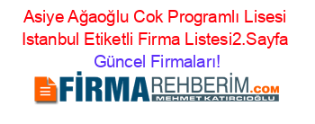 Asiye+Ağaoğlu+Cok+Programlı+Lisesi+Istanbul+Etiketli+Firma+Listesi2.Sayfa Güncel+Firmaları!