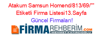 Atakum+Samsun+Homend/813/69/””+Etiketli+Firma+Listesi13.Sayfa Güncel+Firmaları!