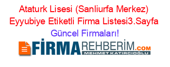 Ataturk+Lisesi+(Sanliurfa+Merkez)+Eyyubiye+Etiketli+Firma+Listesi3.Sayfa Güncel+Firmaları!