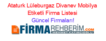 Ataturk+Lüleburgaz+Divanev+Mobilya+Etiketli+Firma+Listesi Güncel+Firmaları!